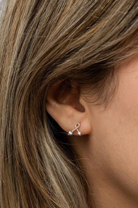 Heliophilia Silver Pendientes de Plata de Ley 925 con Oro Rosa y Circón